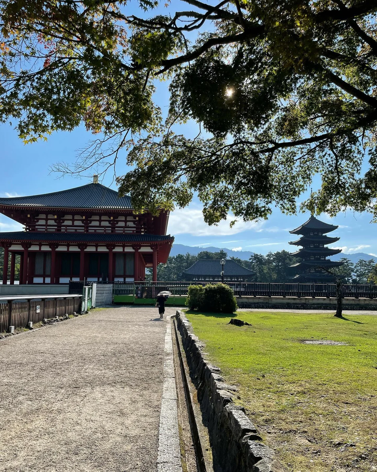 Japonya seyahatimden ağaçlar ve geleneksel yapılar.